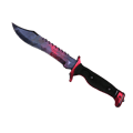 ★ Bowie Knife | Doppler Phase 1