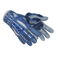 ★ Sport Gloves | Amphibious