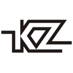 KZ Earphones