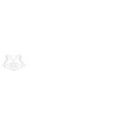 ProSleeves