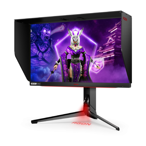 AOC AG254FG