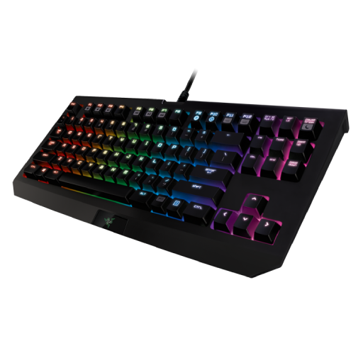 Razer Blackwidow Chroma TE V2