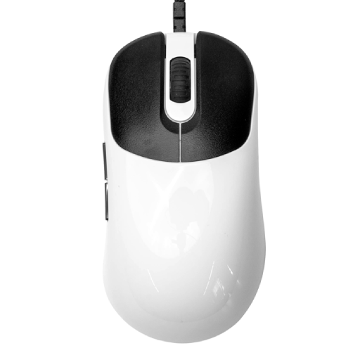 VAXEE ZYGEN NP-01S Glossy