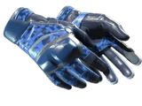 ★ Moto Gloves | Polygon