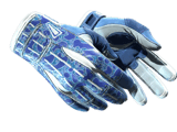★ Sport Gloves | Amphibious
