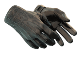 ★ Sport Gloves | Nocts