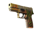 P250 | Inferno