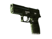 P250 | Iron Clad