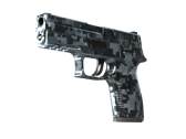 P250 | Steel Disruption