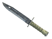 ★ Bayonet | Stained