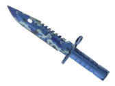 ★ M9 Bayonet | Bright Water
