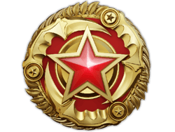 2025 Service Medal