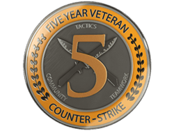 5 Year Veteran Coin