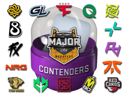 Budapest 2025 Contenders Sticker Capsule