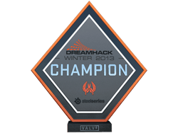 Champion at DreamHack 2013