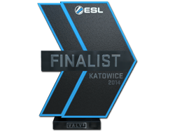 Finalist at EMS One Katowice 2014