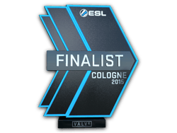 Finalist at ESL One Cologne 2015