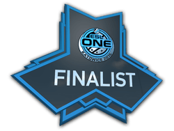 Finalist at ESL One Katowice 2015