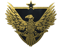 Genuine Brigadier General Pin