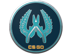 Guardian Pin