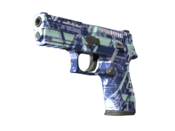 P250 | Digital Architect