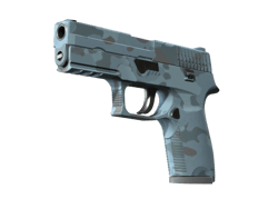 P250 | Forest Night