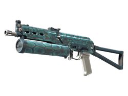 PP-Bizon | Cold Cell
