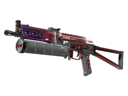 PP-Bizon | RMX