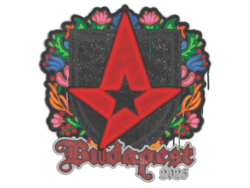 Sealed Graffiti | Astralis | Budapest 2025