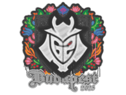 Sealed Graffiti | G2 esports | Budapest 2025