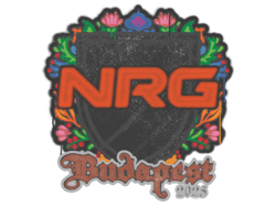 Sealed Graffiti | NRG | Budapest 2025