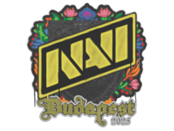 Sealed Graffiti | Natus Vincere | Budapest 2025