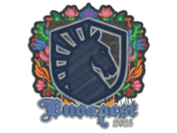 Sealed Graffiti | Team Liquid | Budapest 2025