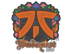 Sealed Graffiti | fnatic | Budapest 2025