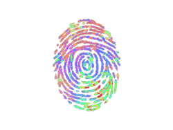 Sticker | Evidence (Holo)
