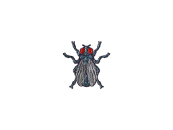 Sticker | Fruit Fly (Foil)
