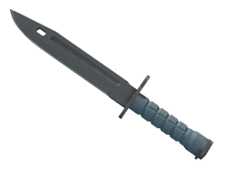 ★ Bayonet | Night