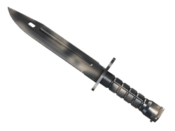 ★ Bayonet | Scorched