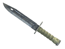 ★ Bayonet | Stained