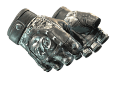 ★ Broken Fang Gloves | Unhinged