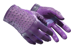★ Driver Gloves | Plum Quill