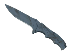 ★ Nomad Knife | Night Stripe