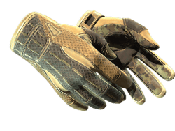 ★ Sport Gloves | Arid