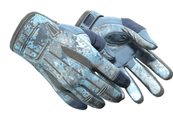 ★ Sport Gloves | Frosty