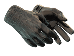 ★ Sport Gloves | Nocts
