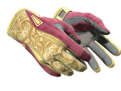 ★ Sport Gloves | Occult