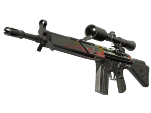G3SG1 | Keeping Tabs (Battle-Scarred)