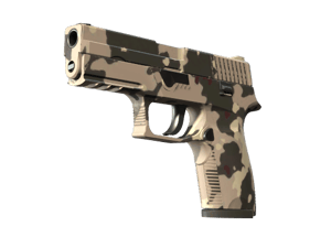 P250 | Black & Tan (Minimal Wear)