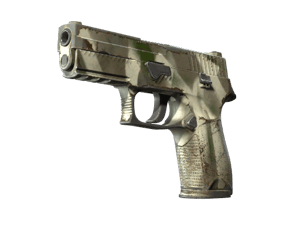 P250 | Bone Mask (Field-Tested)