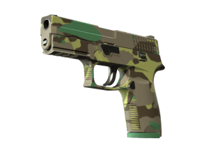 P250 | Boreal Forest (Minimal Wear)